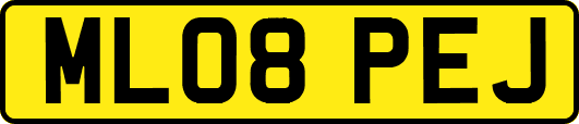 ML08PEJ
