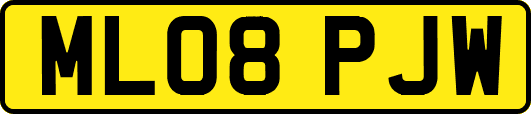 ML08PJW