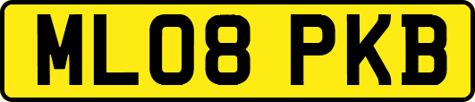 ML08PKB