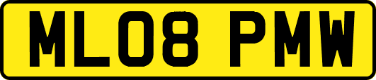 ML08PMW