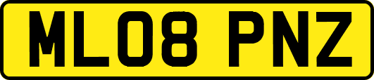 ML08PNZ