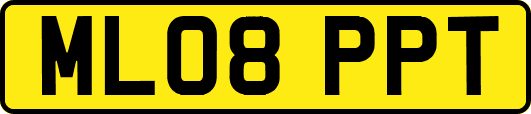ML08PPT