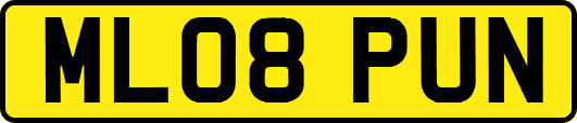 ML08PUN
