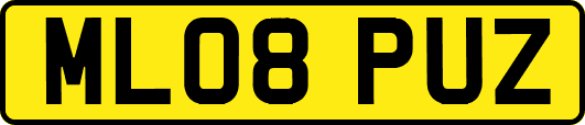ML08PUZ