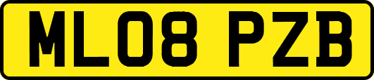 ML08PZB