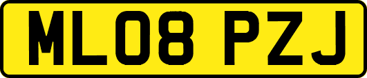 ML08PZJ
