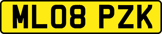 ML08PZK