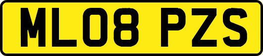 ML08PZS