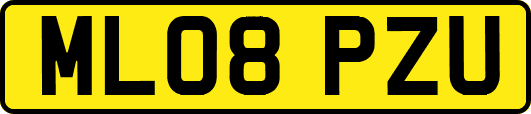 ML08PZU