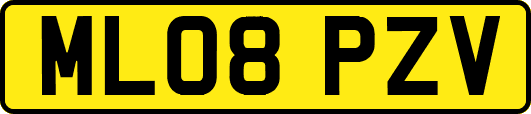 ML08PZV