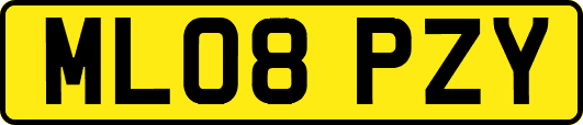 ML08PZY