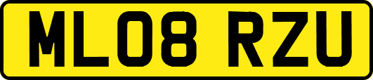ML08RZU