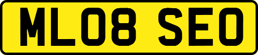 ML08SEO