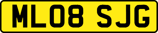 ML08SJG
