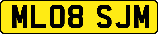 ML08SJM