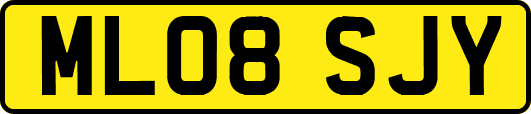 ML08SJY