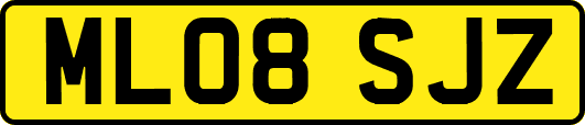 ML08SJZ