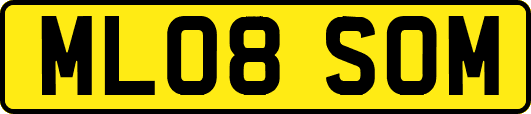 ML08SOM