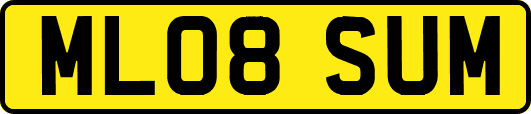 ML08SUM