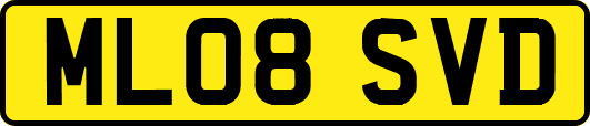 ML08SVD