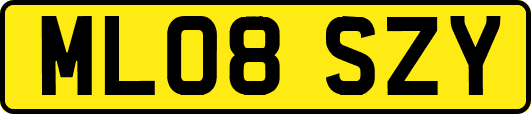 ML08SZY