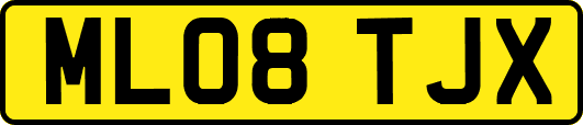 ML08TJX