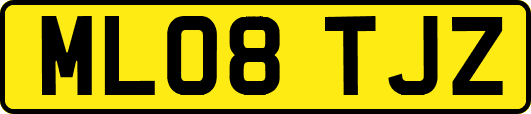 ML08TJZ
