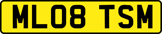 ML08TSM