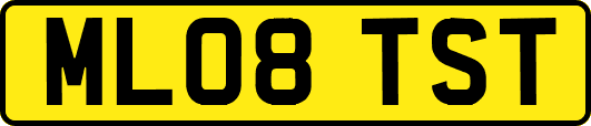 ML08TST