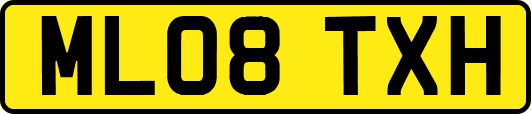 ML08TXH