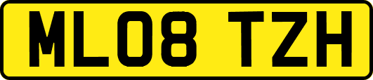 ML08TZH