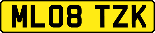 ML08TZK