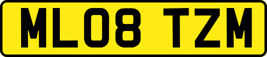 ML08TZM