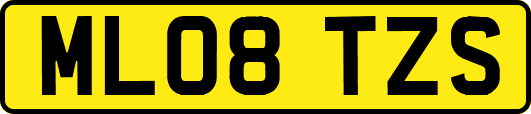 ML08TZS