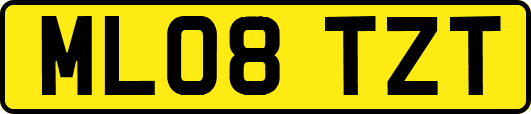 ML08TZT