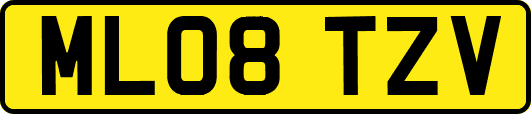 ML08TZV