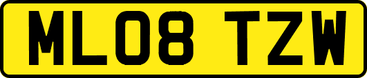 ML08TZW