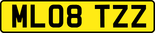 ML08TZZ
