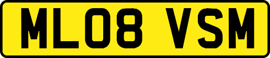 ML08VSM