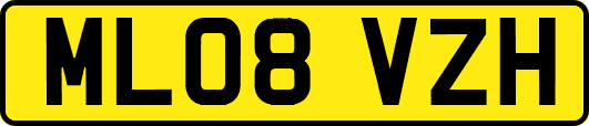 ML08VZH
