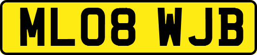ML08WJB