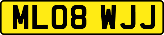 ML08WJJ