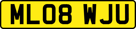 ML08WJU