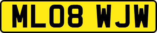 ML08WJW