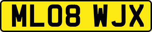 ML08WJX