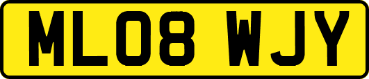 ML08WJY