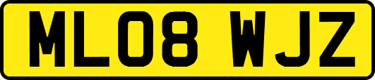 ML08WJZ