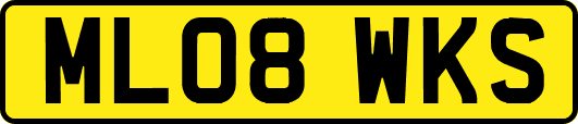 ML08WKS