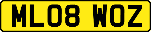 ML08WOZ