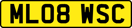 ML08WSC
